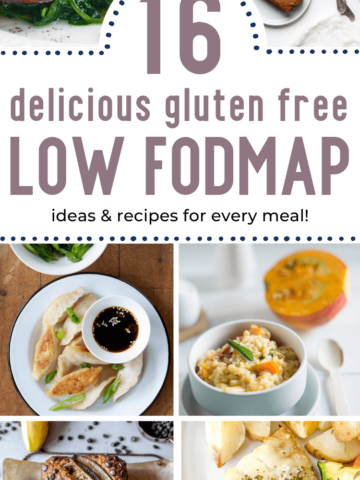 pin image for low fodmap ideas and recipes